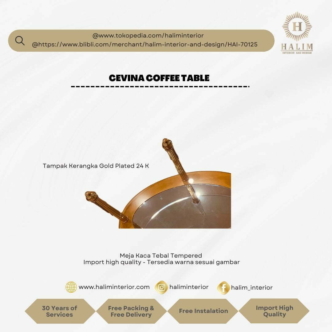 CEVINA COFFEE TABLE2
